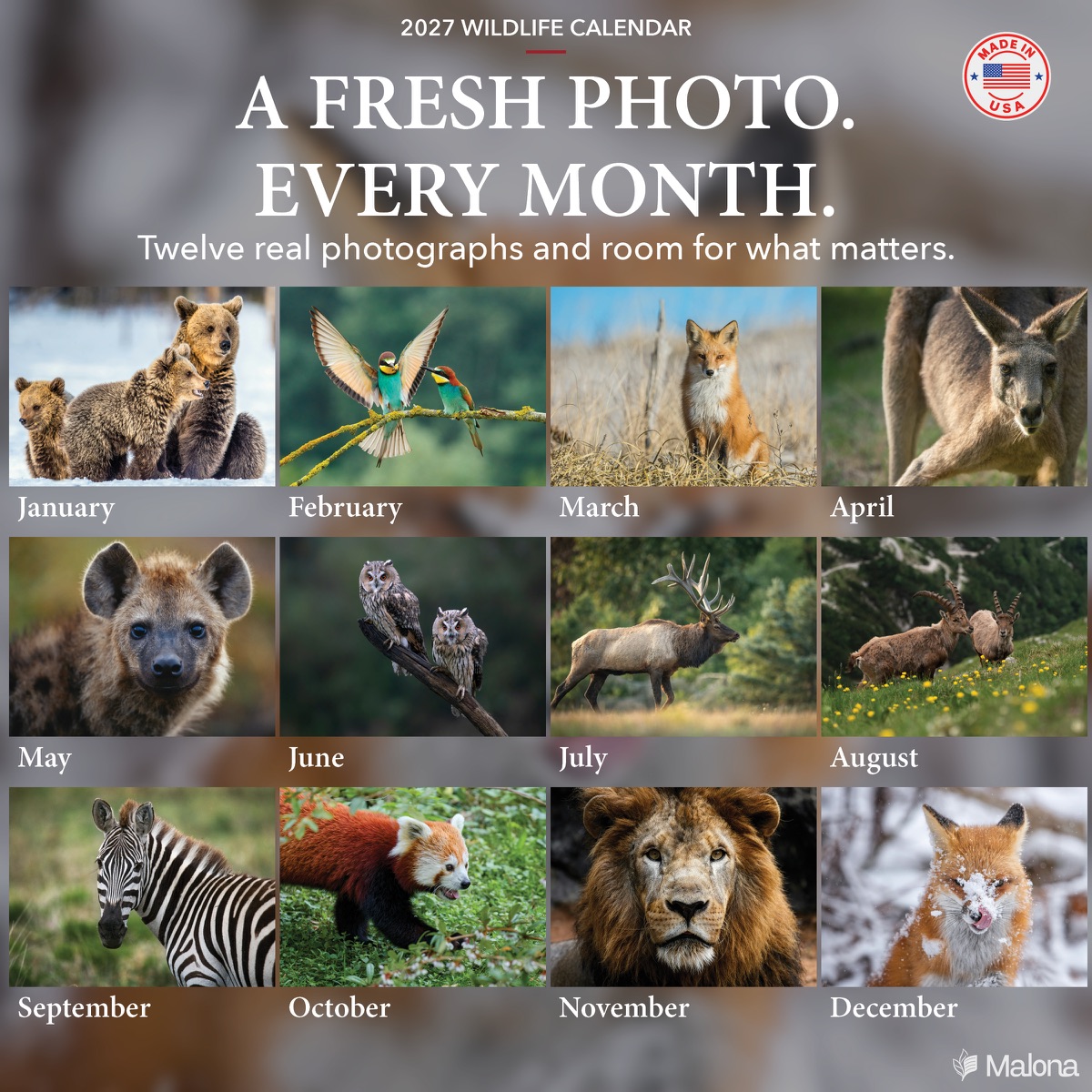 Twelve-month image preview of the 2027 Wildlife Calendar calendar