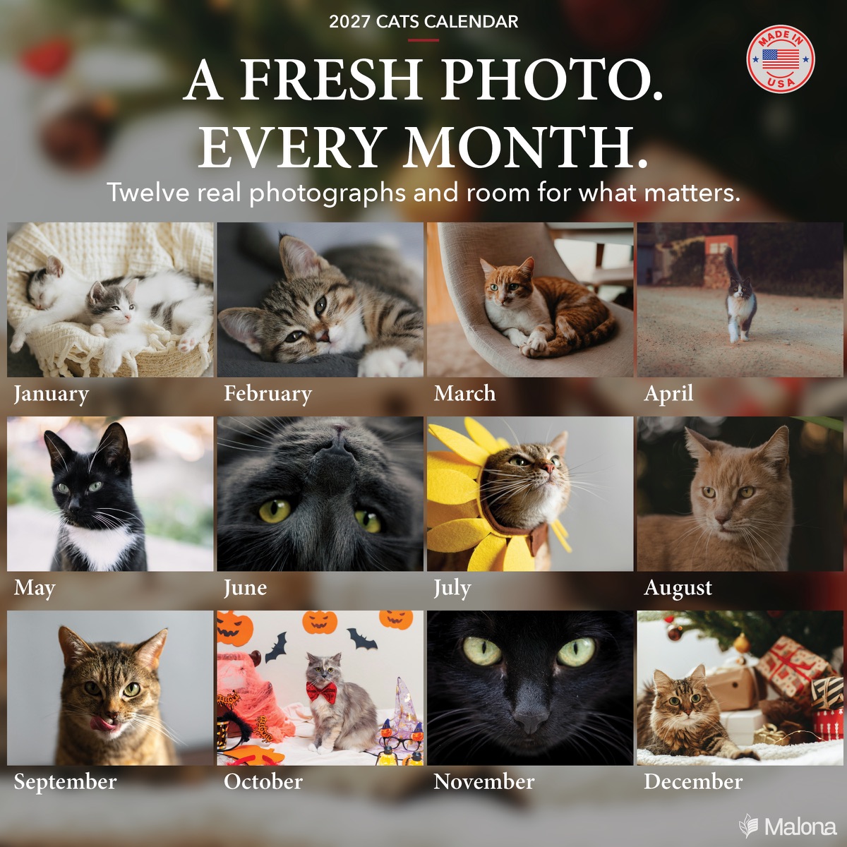 Twelve-month image preview of the 2027 Cats Calendar calendar