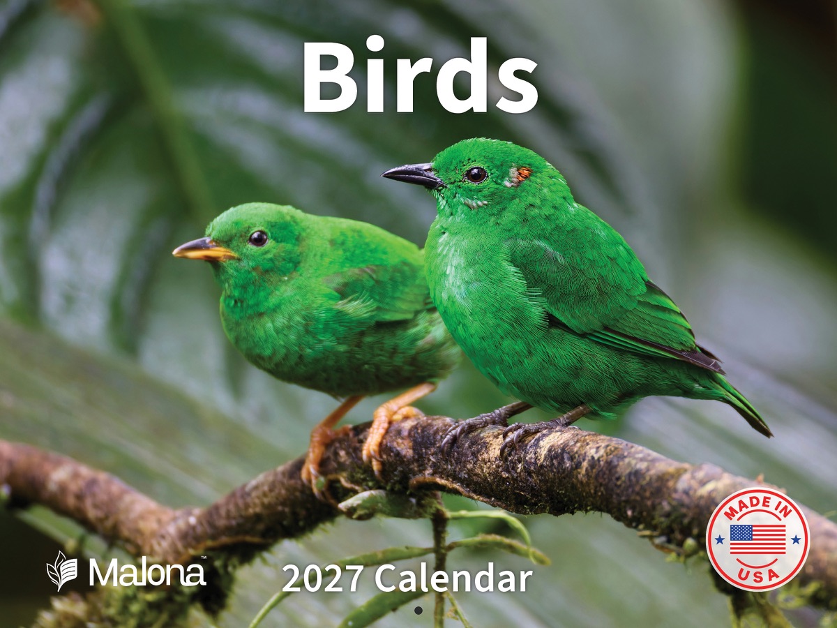 Front cover of the 2027 Malona Birds Calendar wall calendar