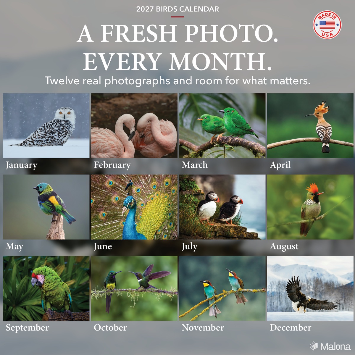 Twelve-month image preview of the 2027 Birds Calendar calendar