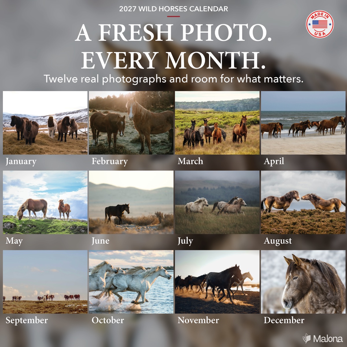 Twelve-month image preview of the 2027 Wild Horses Calendar calendar