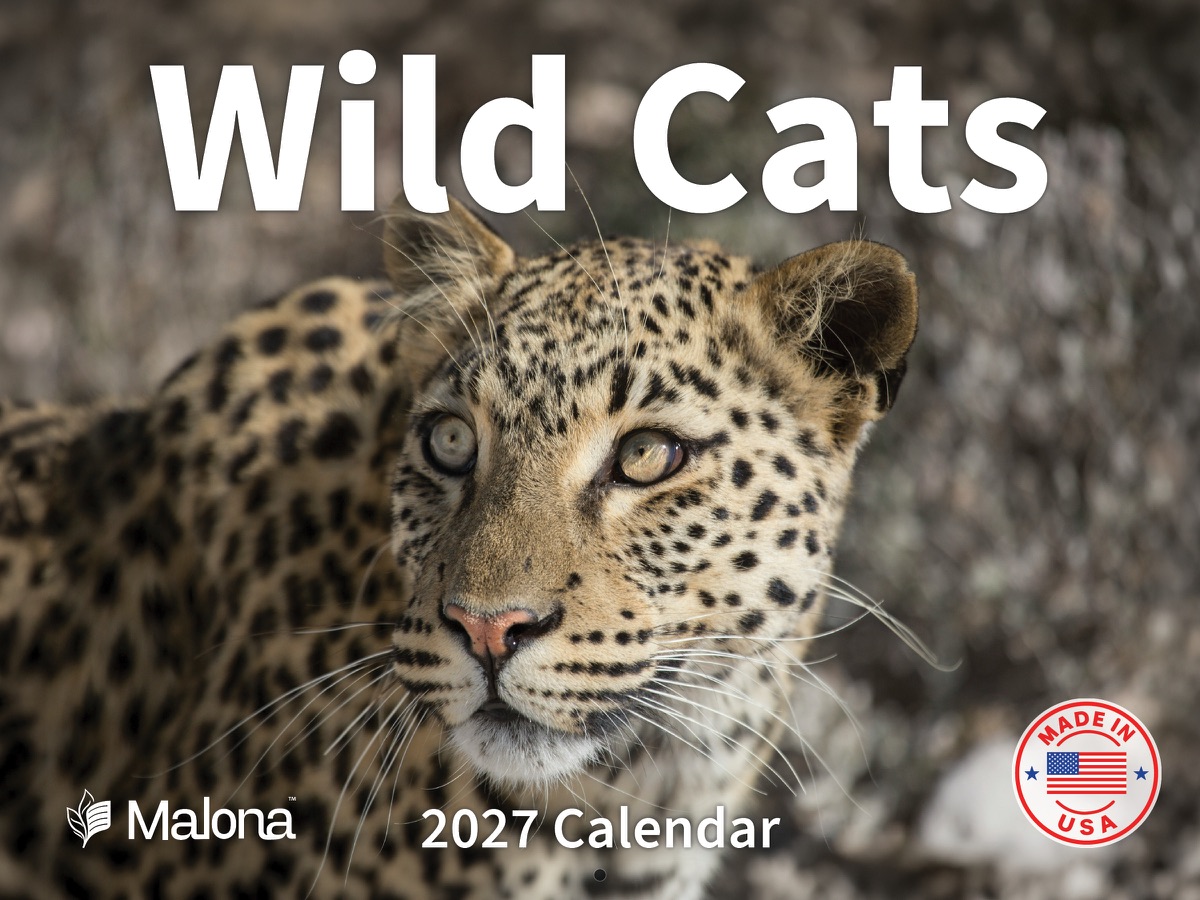 Front cover of the 2027 Malona Wild Cats Calendar wall calendar