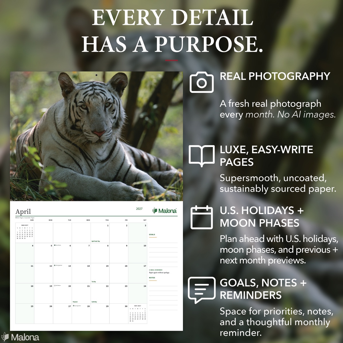 Open month of the 2027 Wild Cats Calendar calendar with a large writing grid