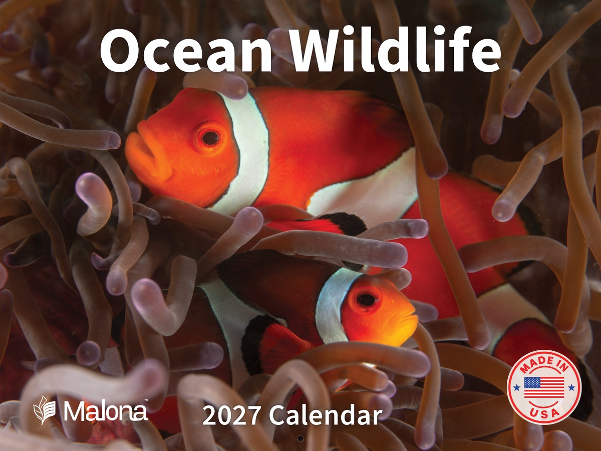 Front cover of the 2027 Malona Ocean Wildlife Calendar wall calendar