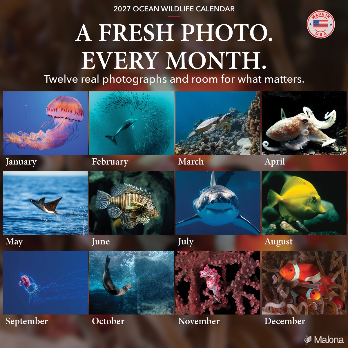 Twelve-month image preview of the 2027 Ocean Wildlife Calendar calendar