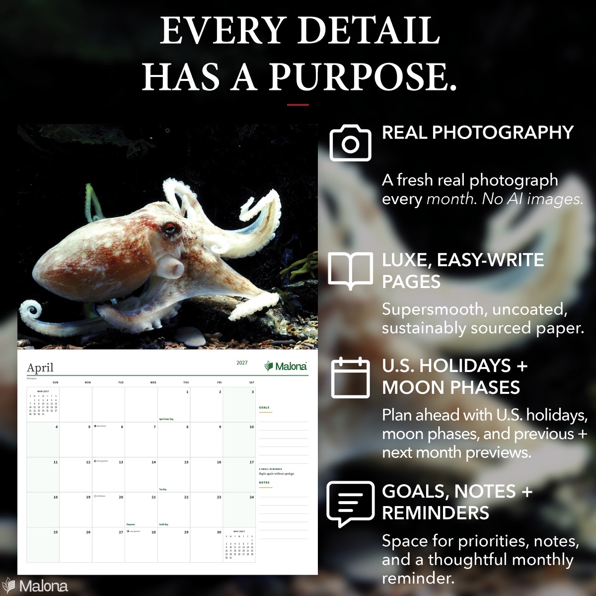Open month of the 2027 Ocean Wildlife Calendar calendar with a large writing grid