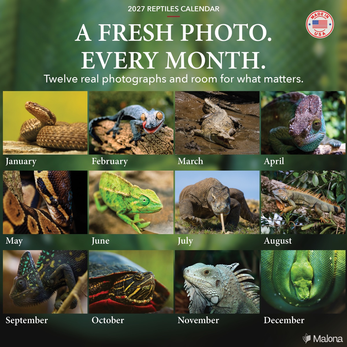 Twelve-month image preview of the 2027 Reptiles Calendar calendar