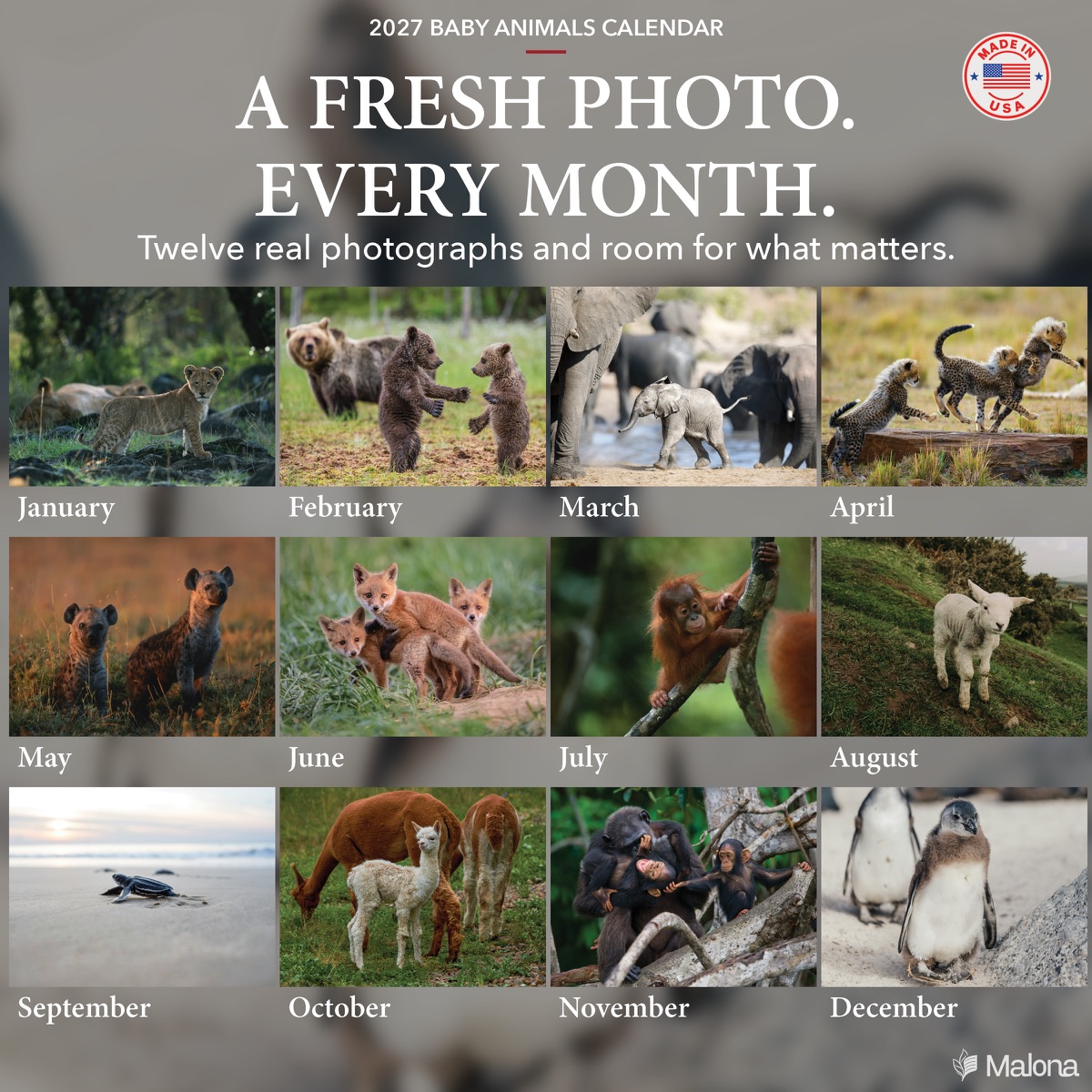 Twelve-month image preview of the 2027 Baby Animals Calendar calendar